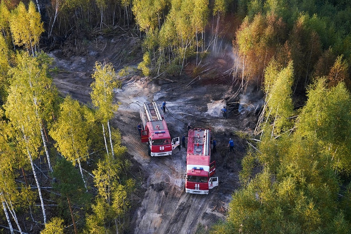 Памятка по пожарной безопасности в лесу: Климат: Среда обитания: Lenta.ru