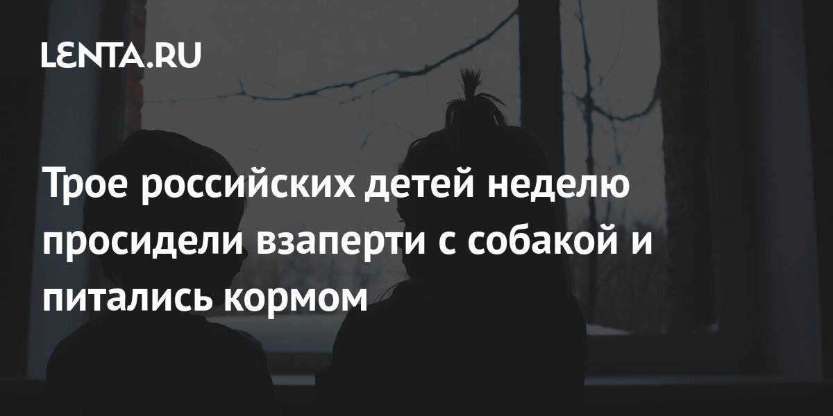 Краб неделю просидел под кроватью сочинение егэ