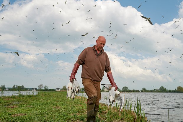 Вводная картинка