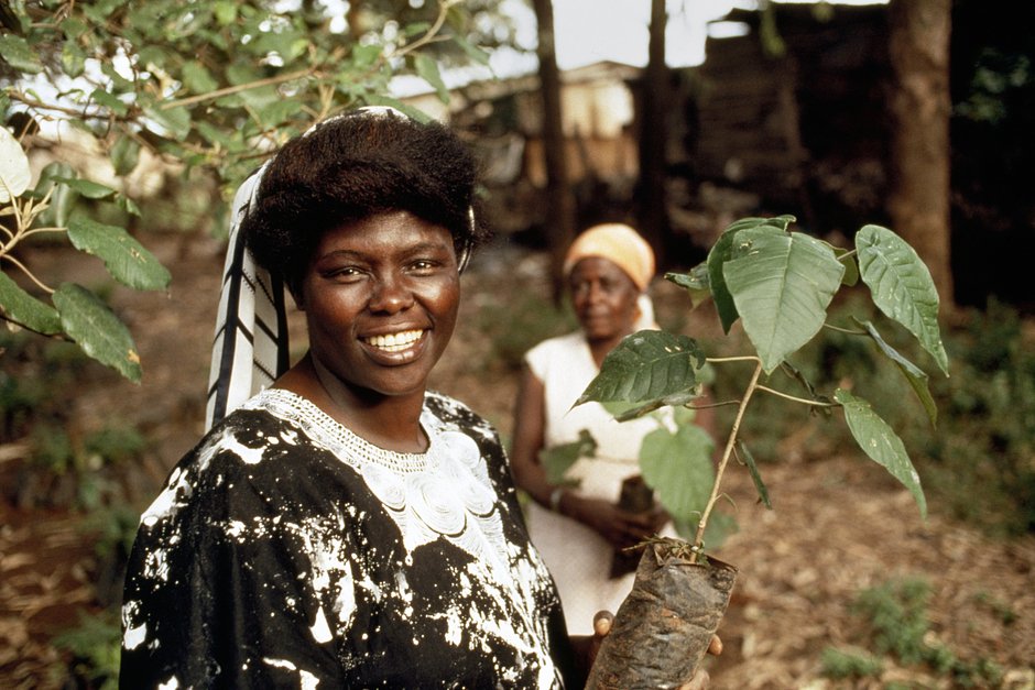 Кенийский профессор Вангари Маатаи в 1993-м