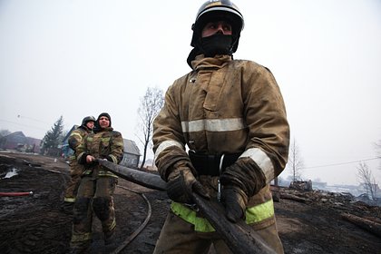 Площадь лесных пожаров в России за год выросла более чем наполовину