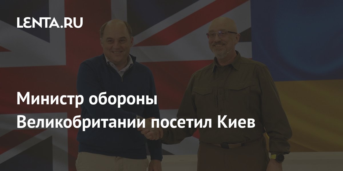 Министр обороны Великобритании посетил Киев: Украина: Бывший СССР: Lenta.ru