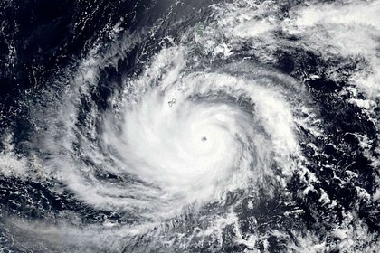 Американцев призвали прятаться от мощнейшего тайфуна
