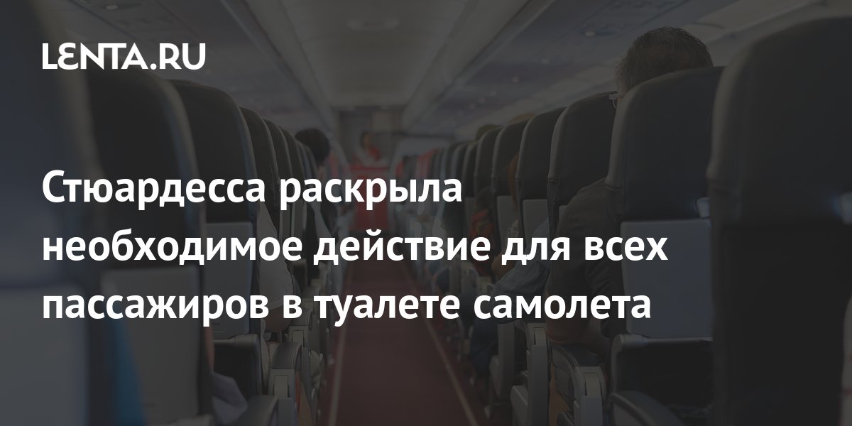 Моют ли стюардессы туалет в самолете