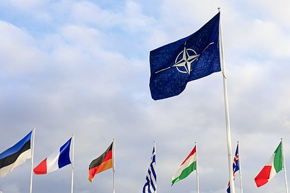 Предложение о новом статусе Украины в отношениях с НАТО объяснили