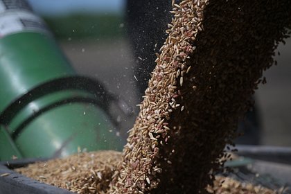 Запорожская область захотела экспортировать зерно в Китай