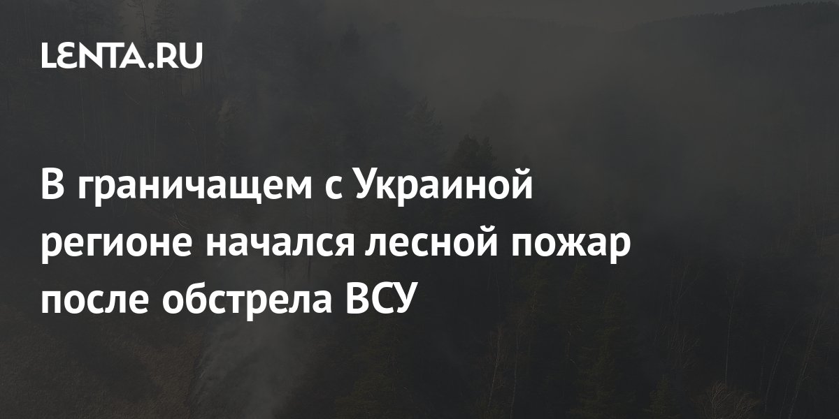 В граничащем с Украиной регионе начался лесной пожар после обстрела ВСУ ...