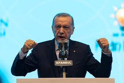 Эрдоган пообещал реализовать проект газового хаба