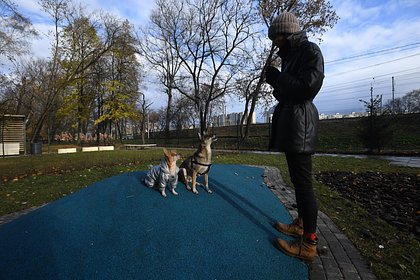 На московской площадке для выгула собак недалеко от школы нашли гранату РГ-42