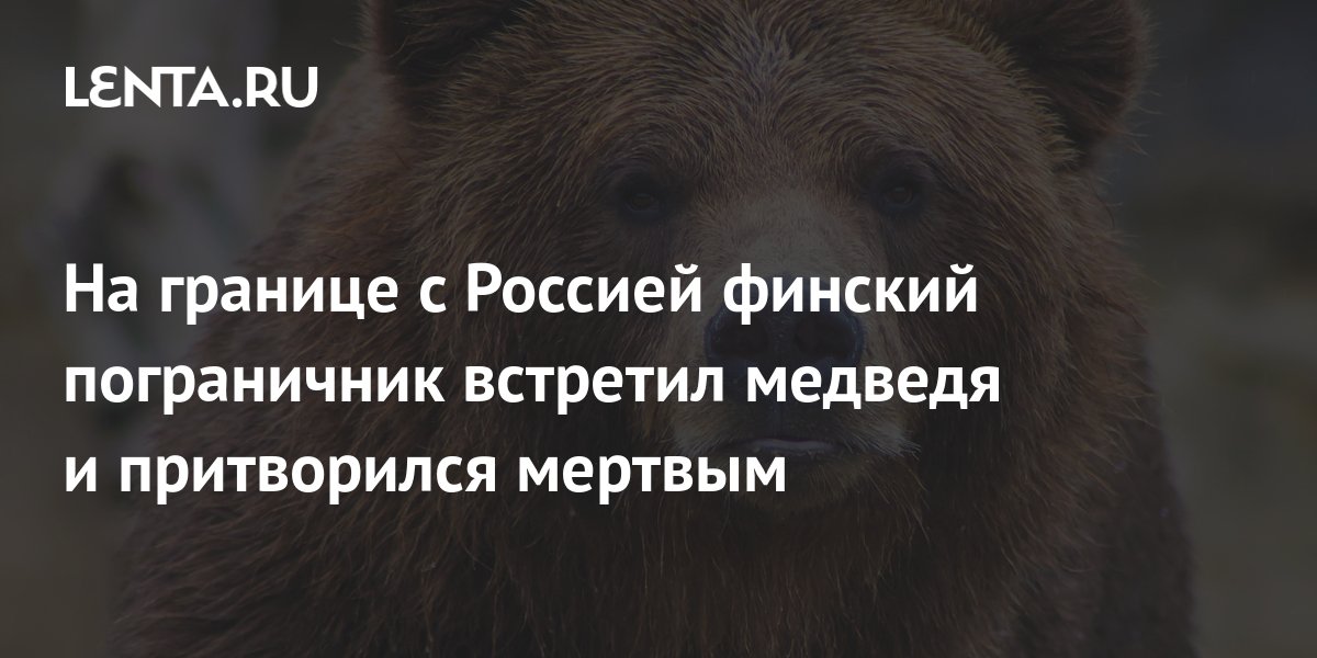 Проголодавшегося медведя запрут 1 бывало 2 в пустой комнате 3 привязав его веревкою за кольцо