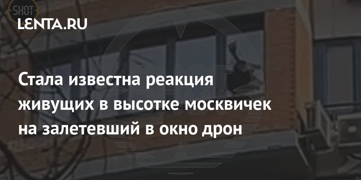 Влетел в окно входим в зал