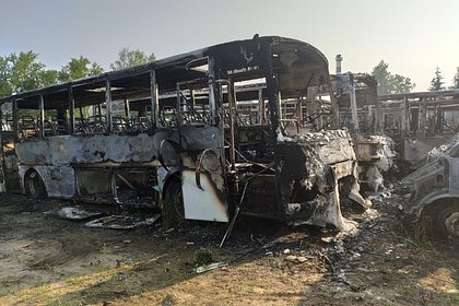 Названа предварительная причина пожара с 37 автобусами и маршрутками под Москвой