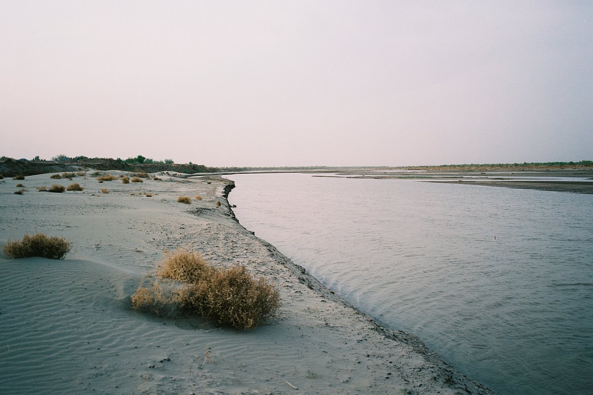 Море в средней азии 4. Река Амударья. За лопатоносами Хорезм декабрь 2015 г Амударья.