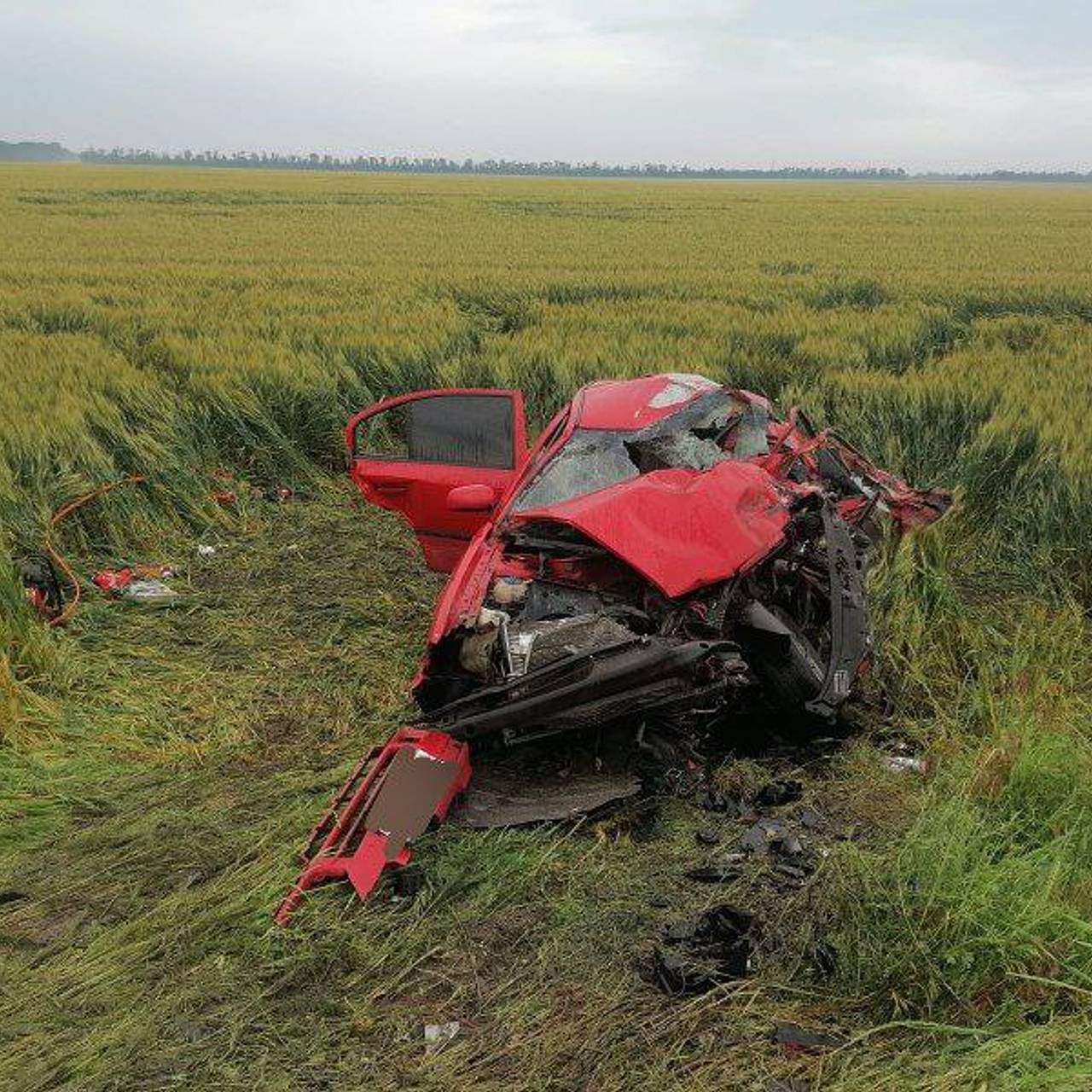 Фото: ГУ МВД России по Краснодарскому краю / Telegram