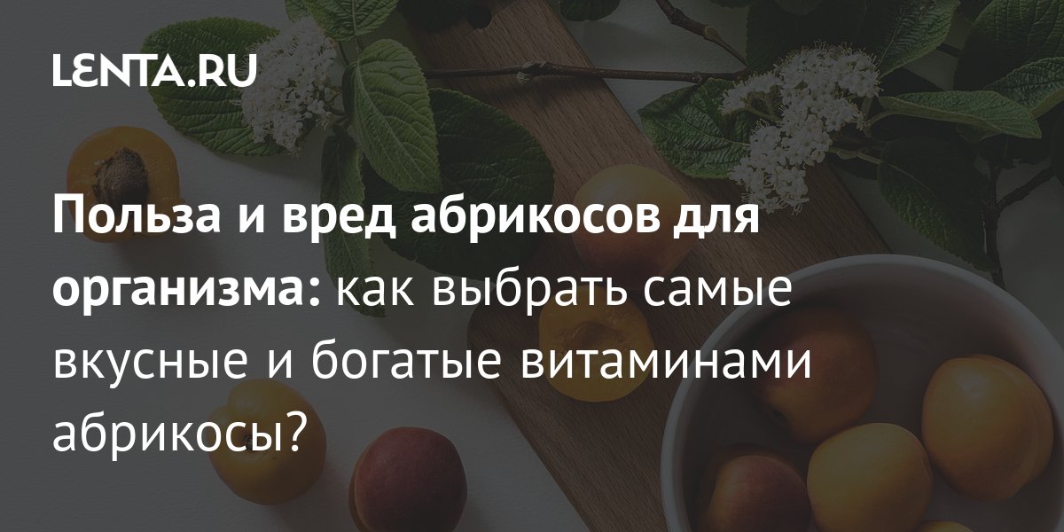 Абрикос калорийность полезные свойства и вред абрикоса – все что нужно знать