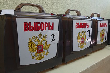 Выборы губернаторов в России пройдут без самовыдвиженцев