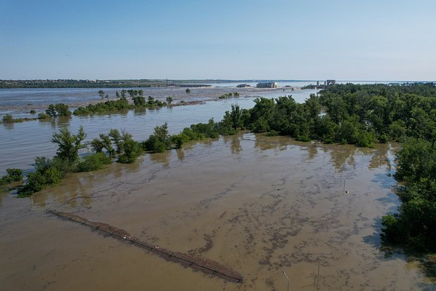 Вводная картинка