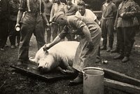 Безжалостная пехота Гитлера. Чем занимались немцы во время оккупации Украины. Уникальные фотографии Великой Отечественной