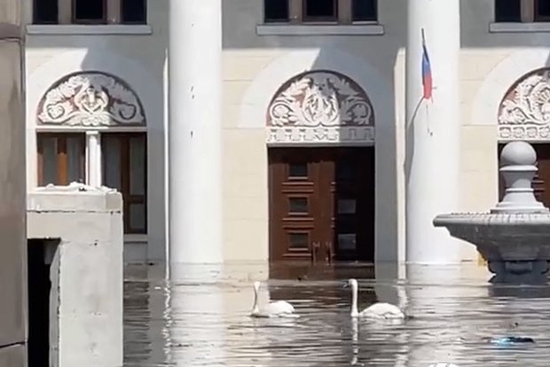 Вводная картинка