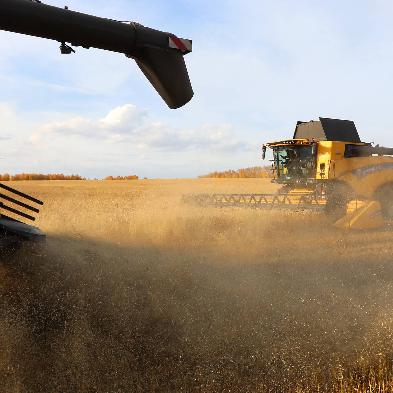 Фото: Илья Наймушин / РИА Новости 