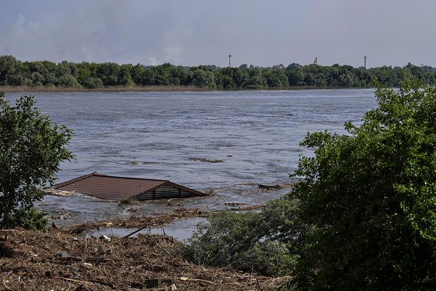 Вводная картинка