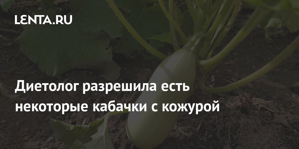 Диетолог разрешила есть некоторые кабачки с кожурой: Питание и сон: Забота  о себе: Lenta.ru