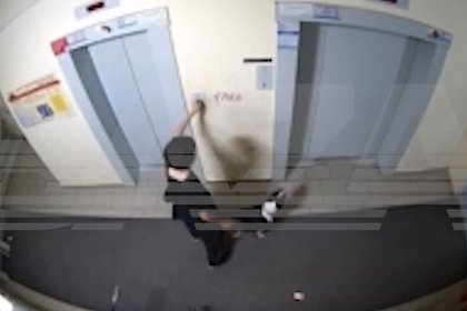 В России бультерьер набросился на школьницу в лифте и попал на видео