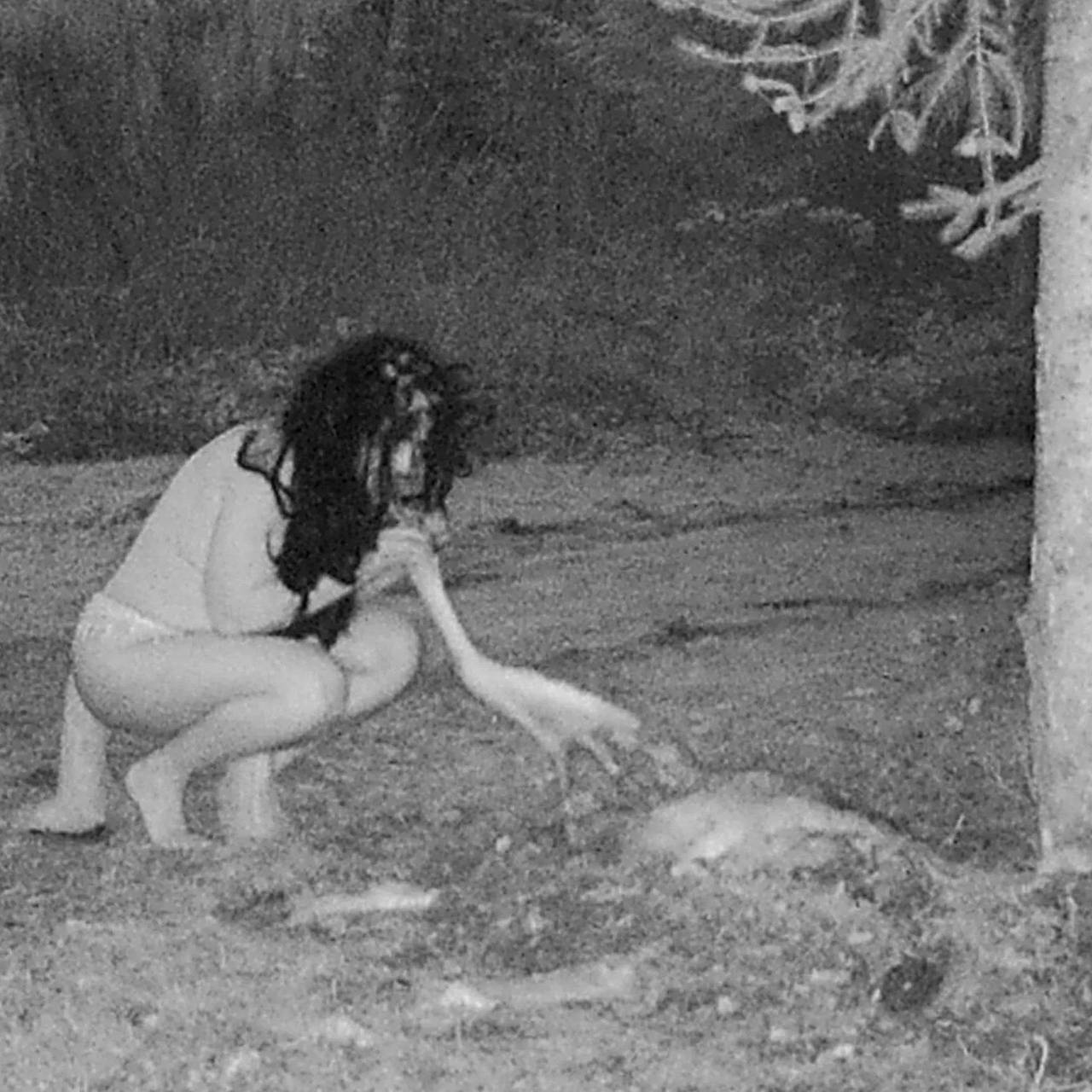 Голые ведьмы попытались съесть оленя в ночном лесу и попали на камеру:  Аномалии: Из жизни: Lenta.ru