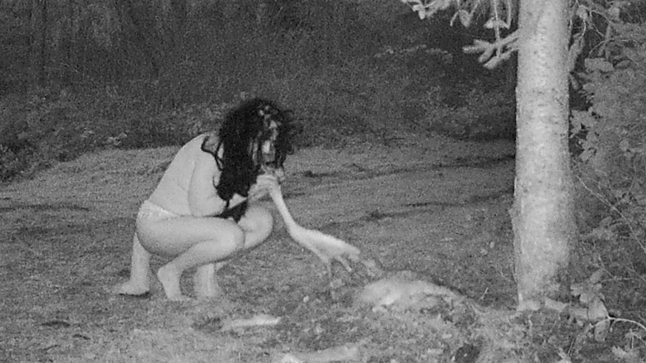 Голые ведьмы попытались съесть оленя в ночном лесу и попали на камеру:  Аномалии: Из жизни: Lenta.ru