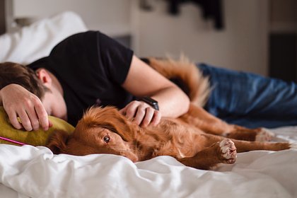 Названы простые способы заснуть и не просыпаться при обострении аллергии