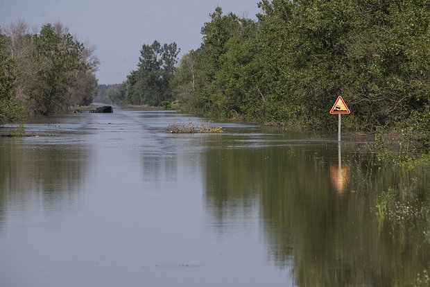 Вводная картинка