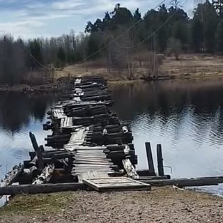 Порно видео большие и толстые голуби