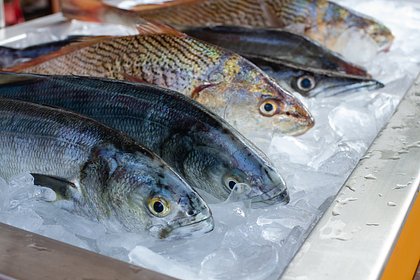 В России исключили дефицит рыбы