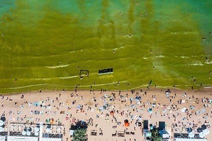 Picture: Море на популярном курорте России окрасилось в ядовито-зеленый цвет