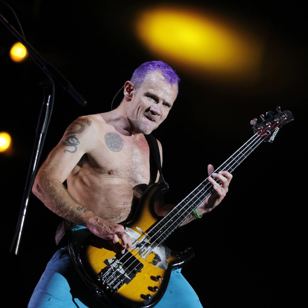 Басист Red Hot Chili Peppers предложил пожить в своем доме: Дом: Среда  обитания: Lenta.ru