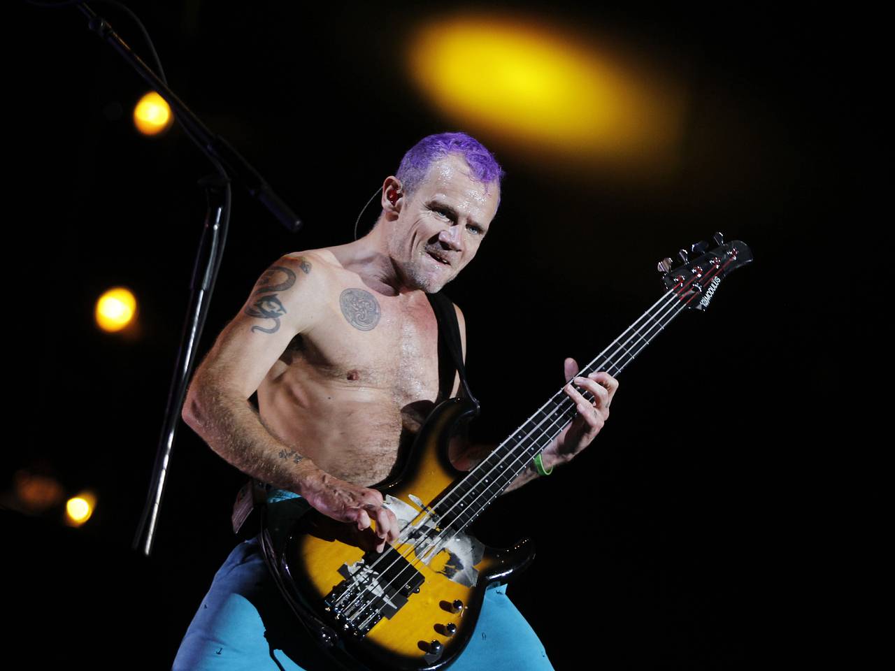 Басист Red Hot Chili Peppers предложил пожить в своем доме: Дом: Среда  обитания: Lenta.ru