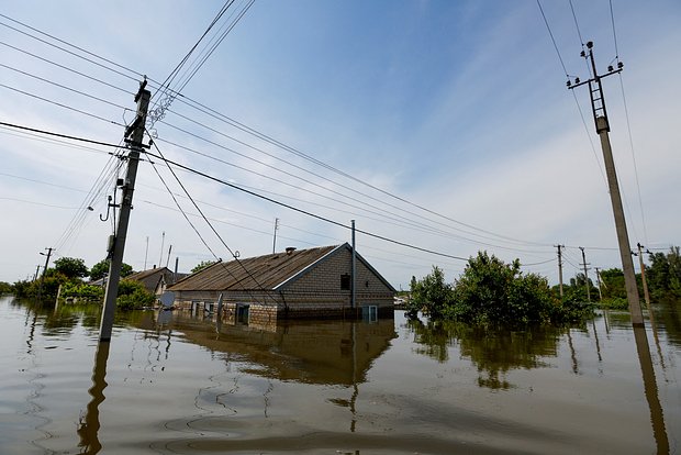 Вводная картинка