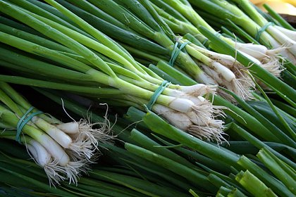 Названы полезные для нервной системы рецепты блюд из зеленого лука