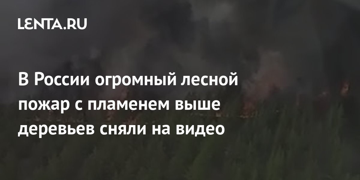 В России огромный лесной пожар с пламенем выше деревьев сняли на видео ...