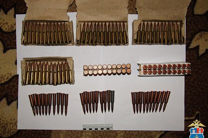 В доме российского пенсионера нашли боевое оружие и 1,7 тысячи патронов