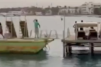 Акула загрызла россиянина в Египте и попала на видео