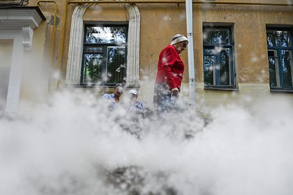 Picture: Россиянам назвали способы защиты от тополиного пуха