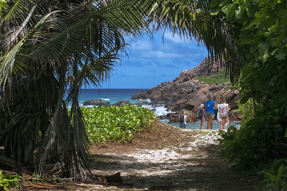 На Сейшелы туристов обычно манит исключительный сервис, уникальная природа и невероятно мягкий климат