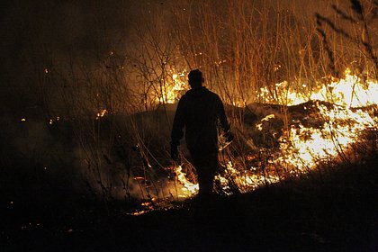 В Казахстане 14 человек погибли из-за лесного пожара