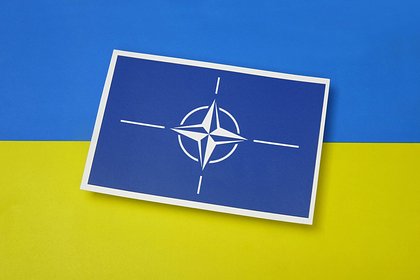 picture: В Киеве рассказали о поддержке 20 странами НАТО членства Украины в альянсе