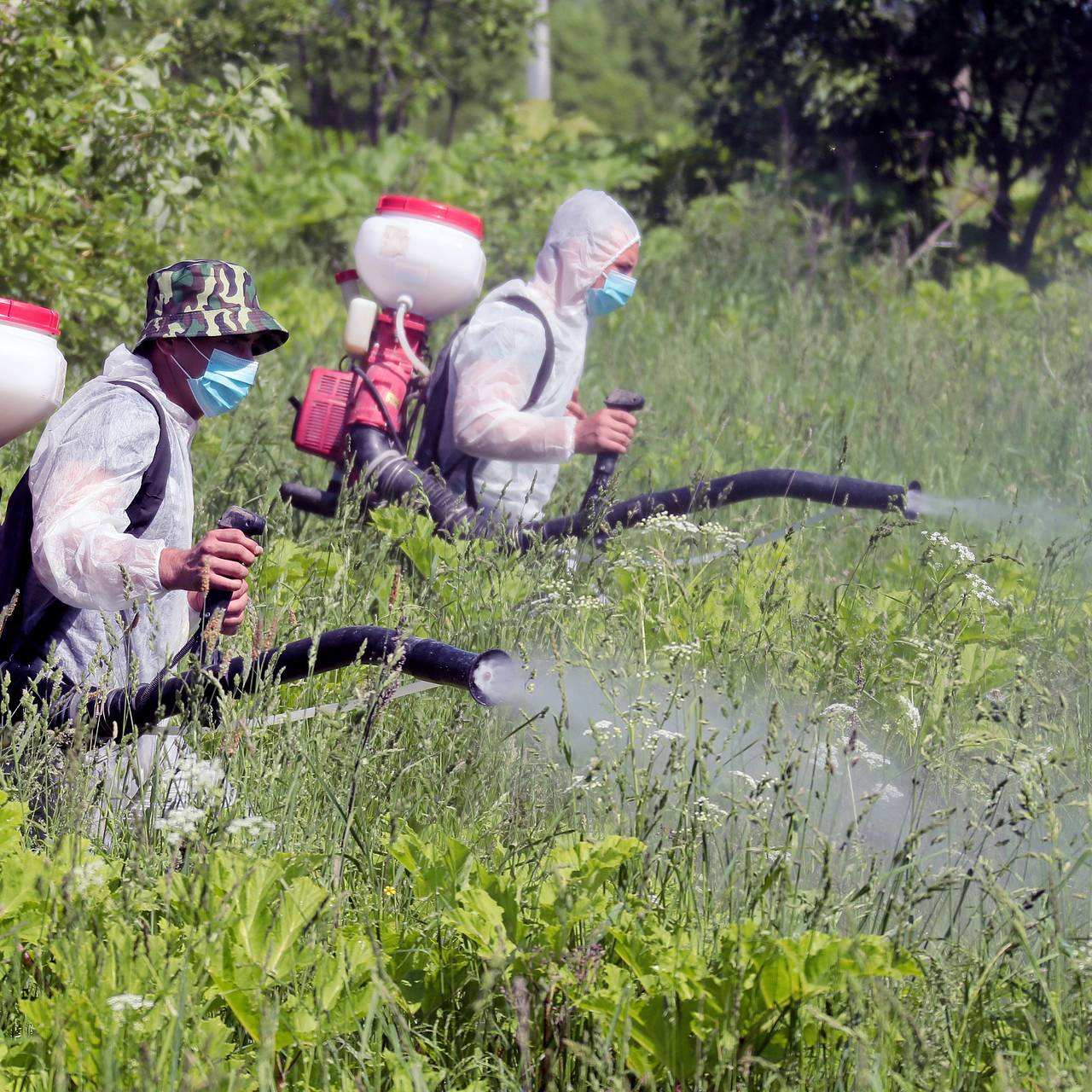 Фото: Виталий Белоусов / РИА Новости 