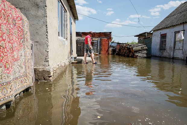 Вводная картинка