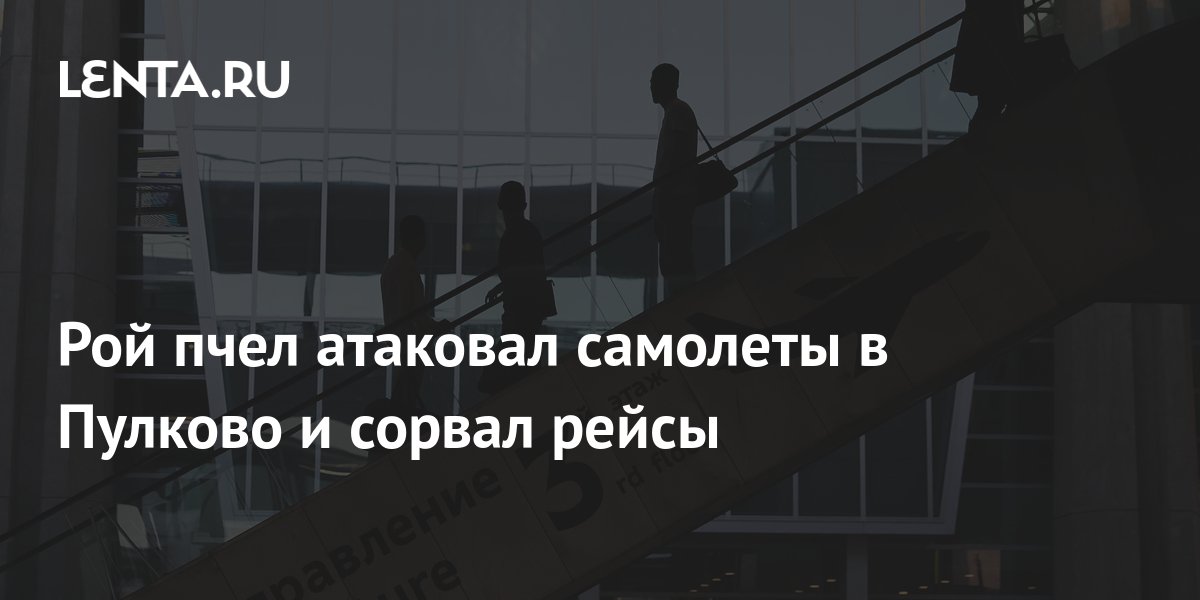 Задержаны рейсы москва