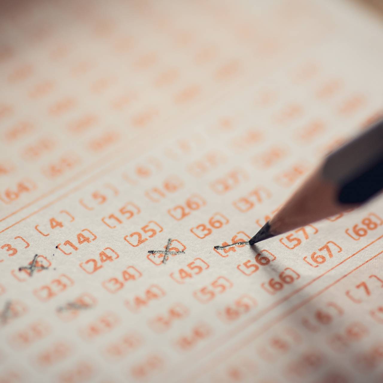 Фото: slawomir.gawryluk / Shutterstock / Fotodom