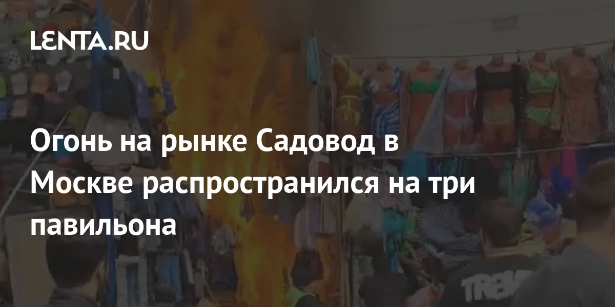 Кто владелец садовода рынка в москве